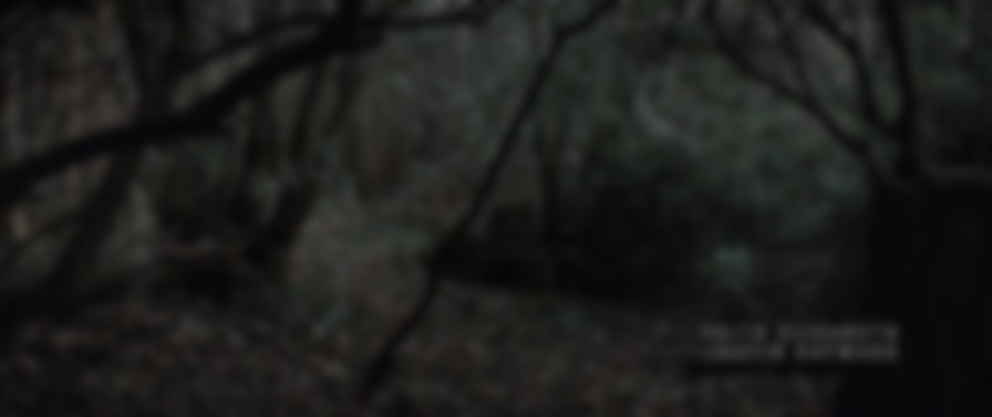 13 Graves backdrop