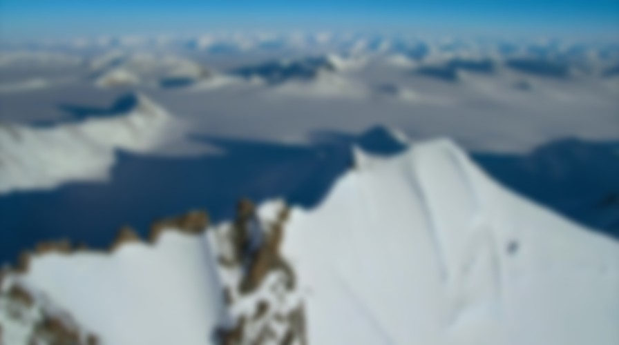 Penguins backdrop