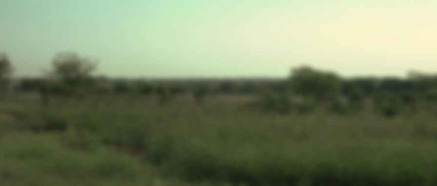 90 Feet from Home backdrop
