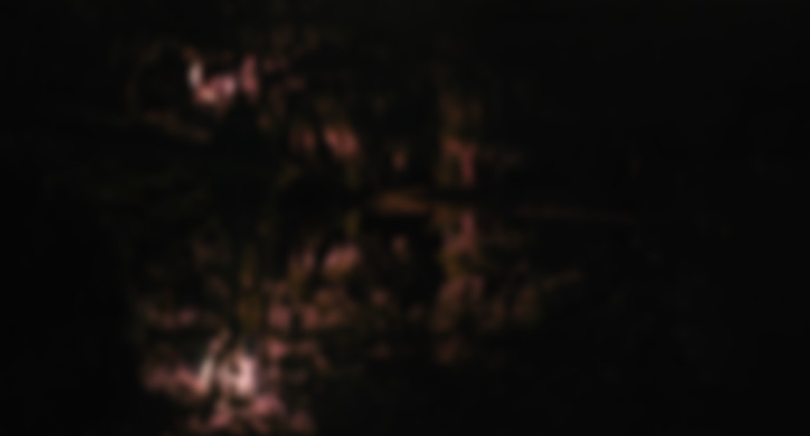 Mona Lisa and the Blood Moon backdrop